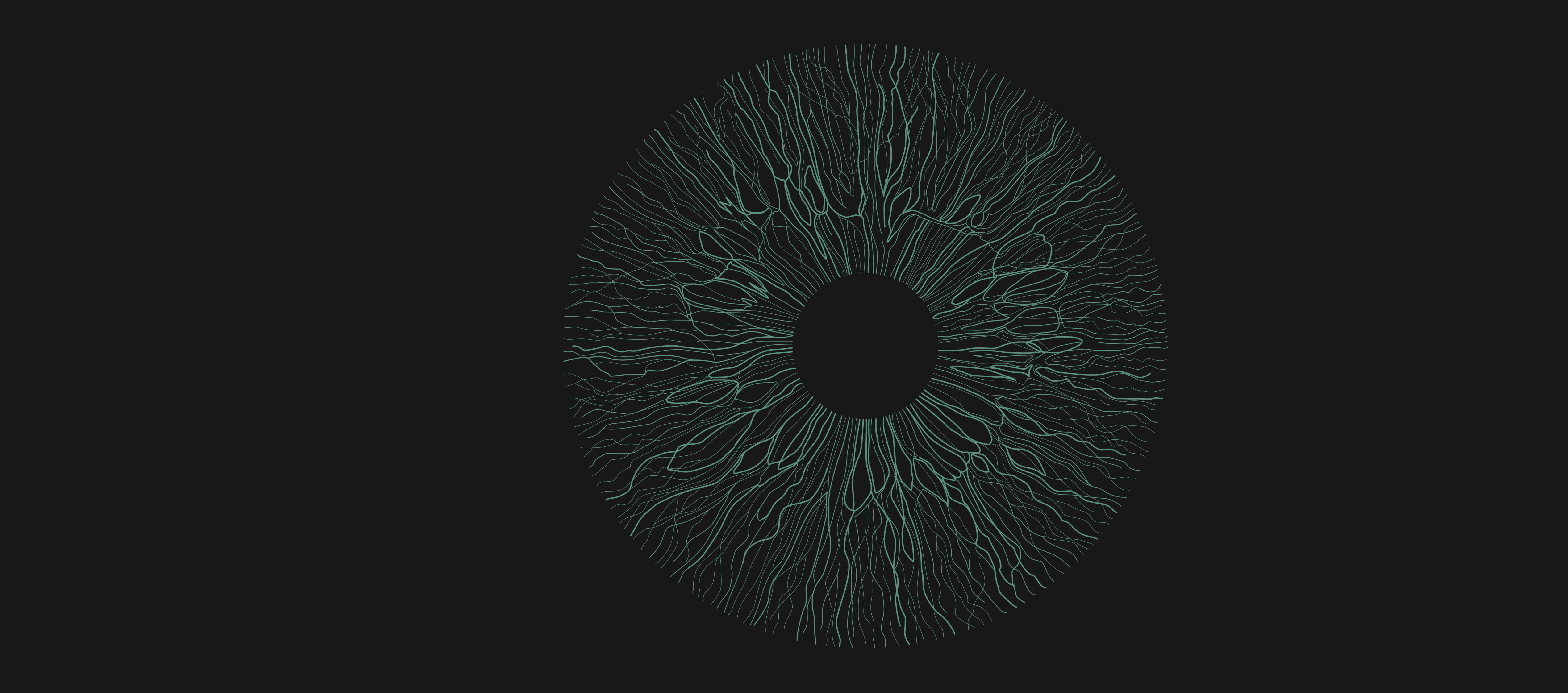 auge-braun auge braun